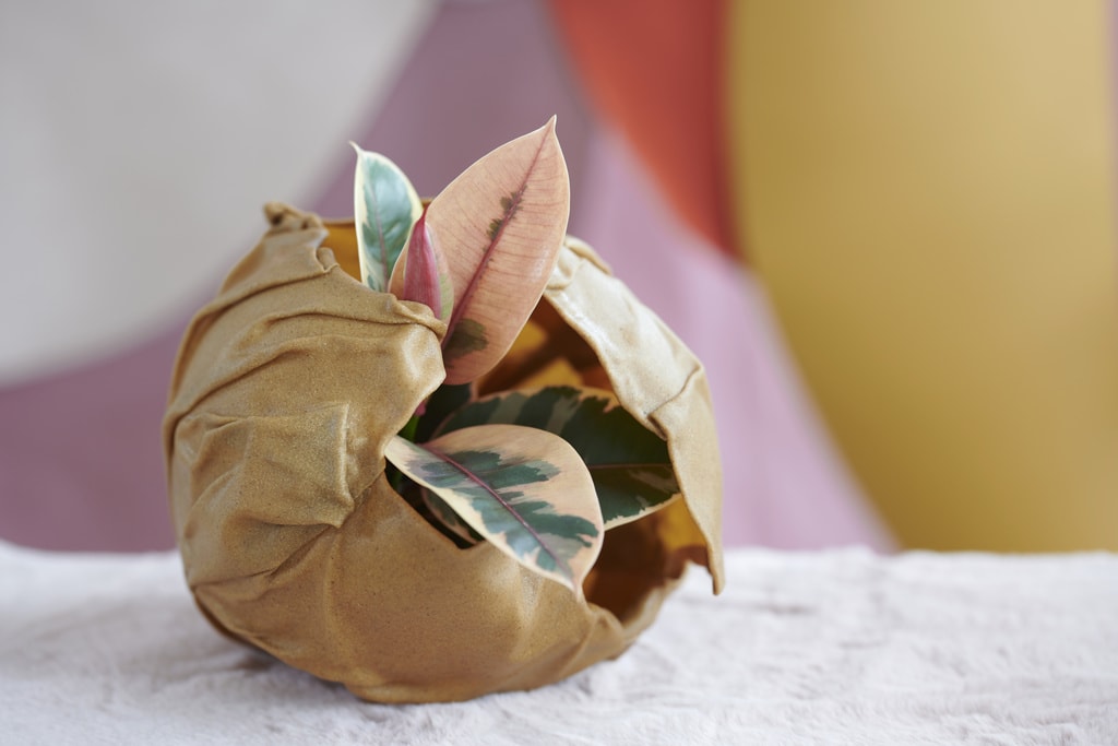 trends_2021_human_touch_trendlook_1_2_med